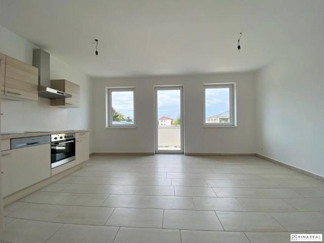 Apartment mieten in Eggendorf, Niederösterreich