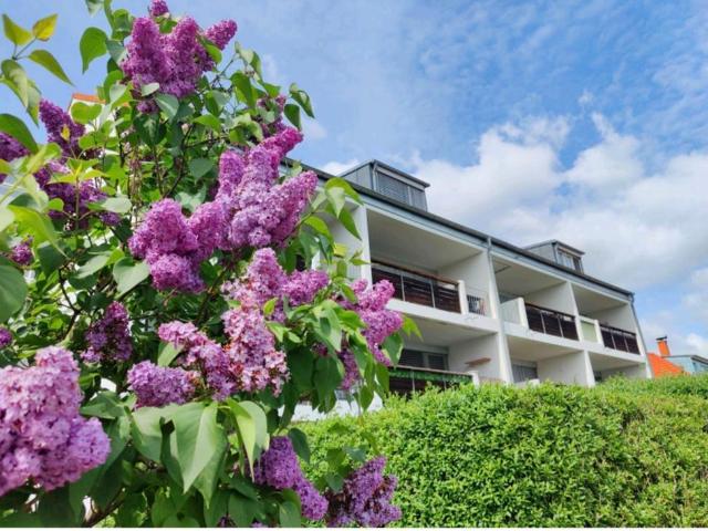 Apartment mieten in Steinrode, Thüringen