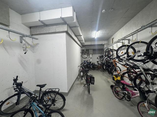 Apartment mieten in Donaustadt, Wien