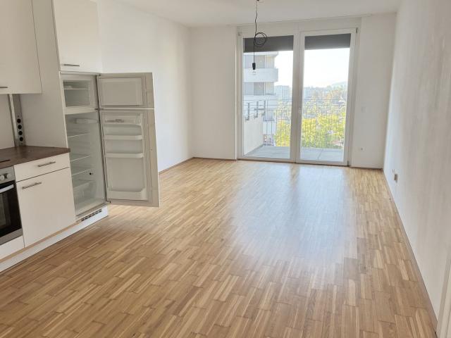 Apartment mieten in Katastralgemeinde Baierdorf, Graz