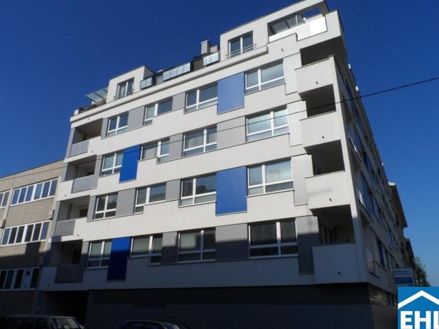 Wohnung mieten in Seestadt, Wien