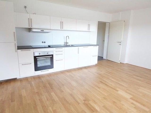 Apartment mieten in Hohenweiler, Vorarlberg