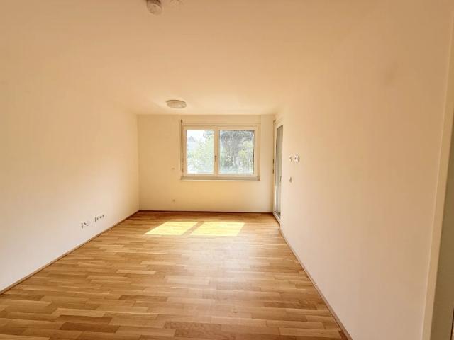 Apartment mieten in KG Hütteldorf, Wien
