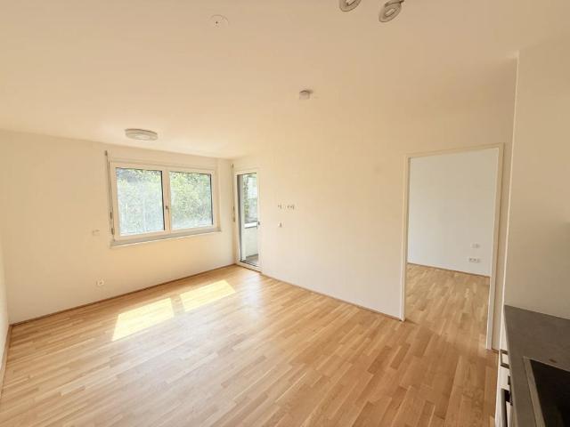 Apartment mieten in KG Hütteldorf, Wien