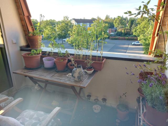 Wohnung mieten in Ladeburg, Bernau