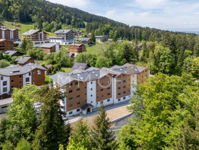 Wohnung kaufen in Châtel-Saint-Denis, Freiburg