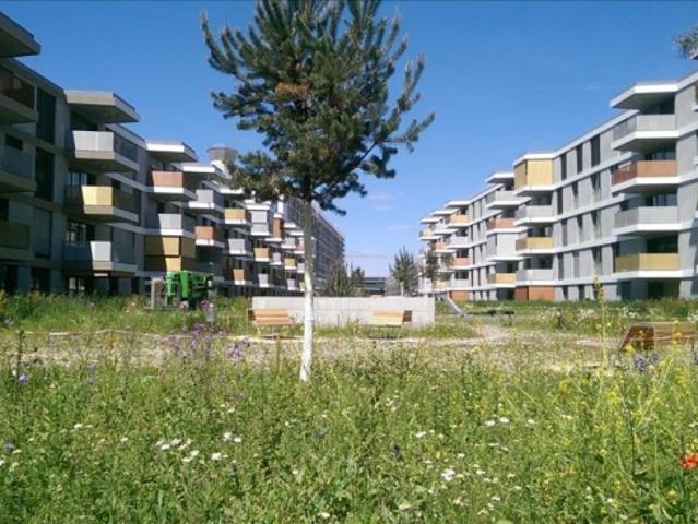 Dachwohnung mieten in Basel, Basel-Stadt