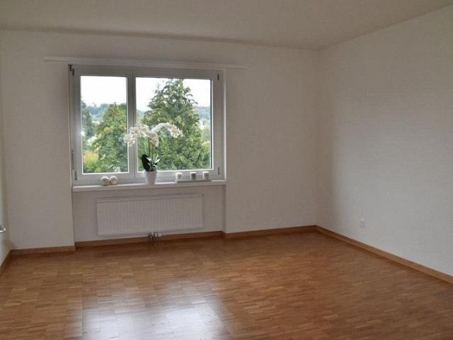 Apartment mieten in Wetzikon (ZH), Zürich