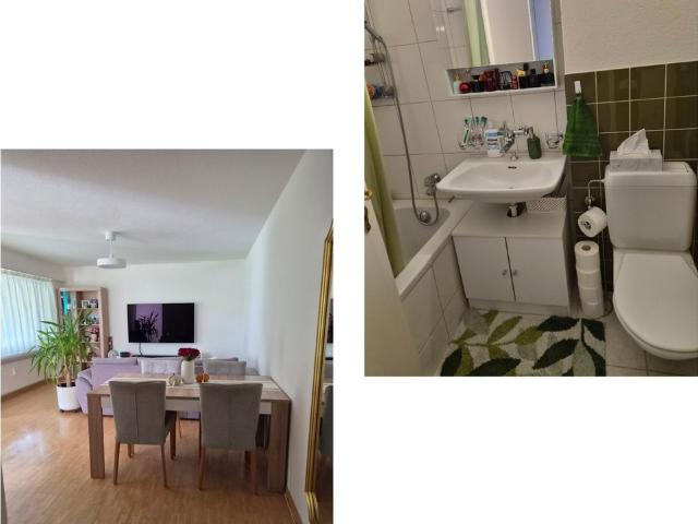 Apartment mieten in Buttenau, Adliswil