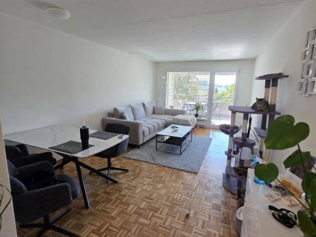 Apartment mieten in Fislisbach, Bezirk Baden