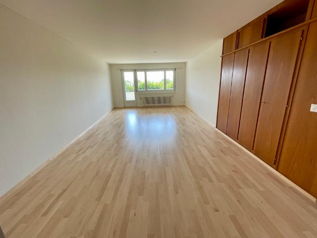 Apartment mieten in Meisterschwanden/Fahrwangen, Meisterschwanden