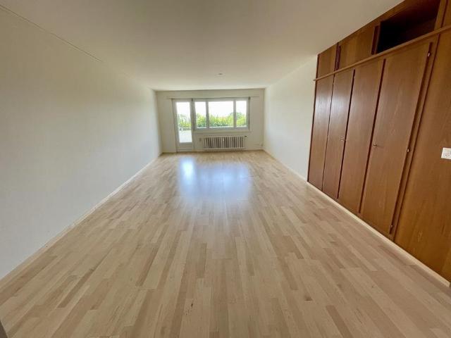 Apartment mieten in Meisterschwanden/Fahrwangen, Meisterschwanden