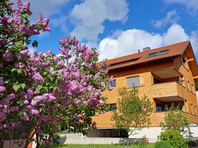 Apartment mieten in Weiler, Vorarlberg
