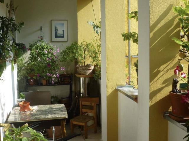 Apartment mieten in KG Alsergrund, Wien