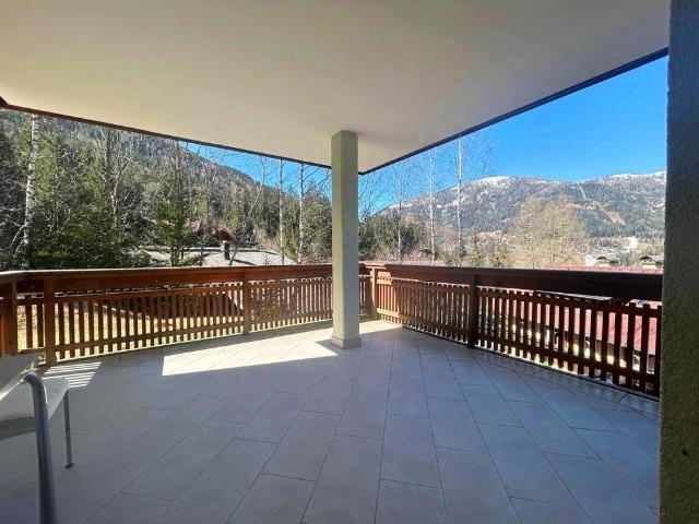 Apartment kaufen in Bad Kleinkirchheim