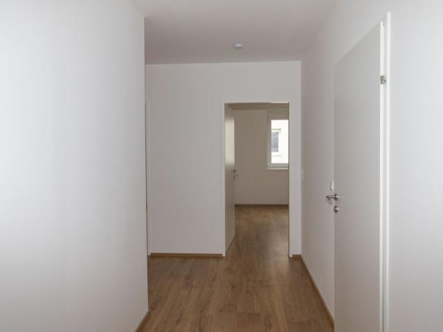Wohnung mieten in Rabensburg, Niederösterreich