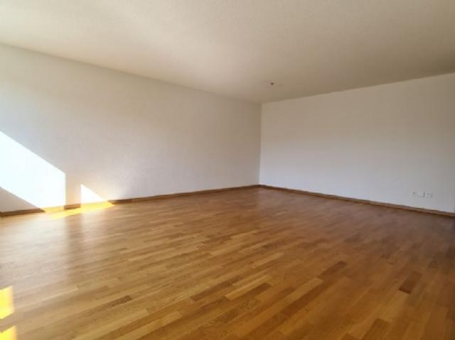 Apartment mieten in Rickenbach (SO), Solothurn