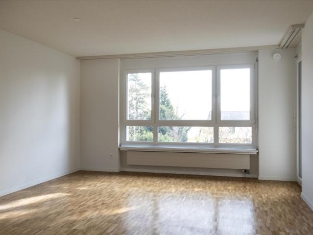 Wohnung mieten in Schaffhausen
