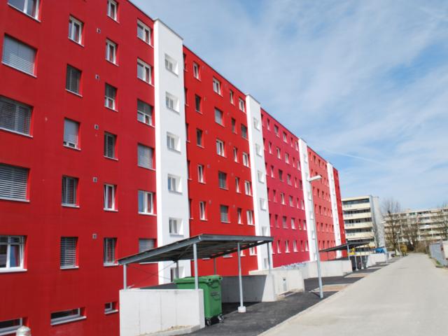 Apartment mieten in Windisch