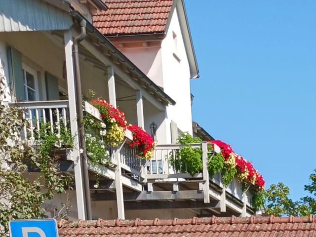 Wohnung kaufen in Dogern, Landkreis Waldshut