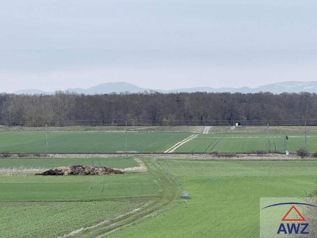Grundstück kaufen in Gänserndorf, Niederösterreich
