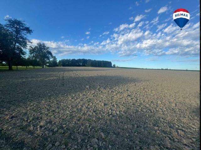 Grundstück kaufen in Eferding, Oberösterreich