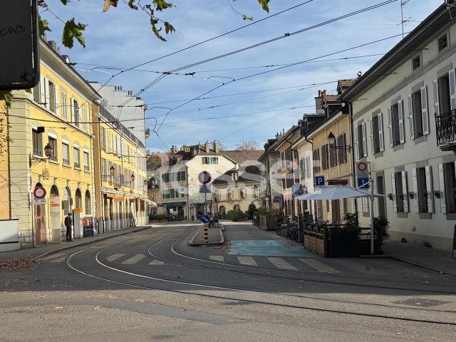 Immobilie mieten in Carouge (GE)