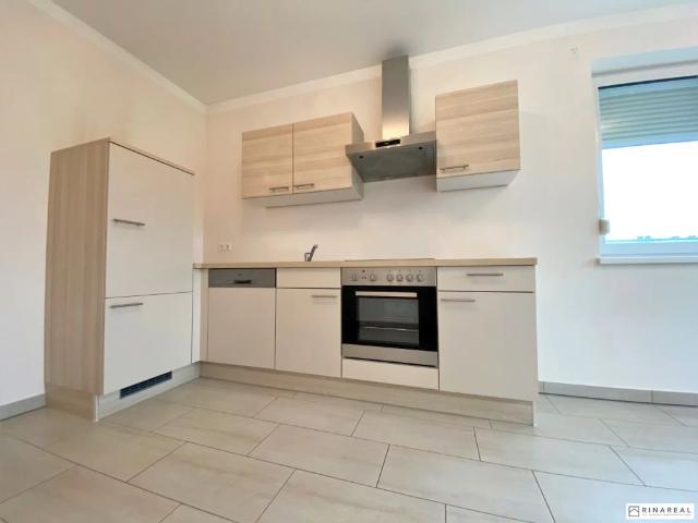 Apartment mieten in Eggendorf, Niederösterreich
