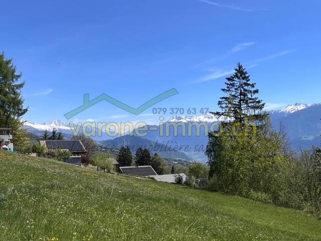 Immobilie kaufen in Chandolin-Savièse, Wallis
