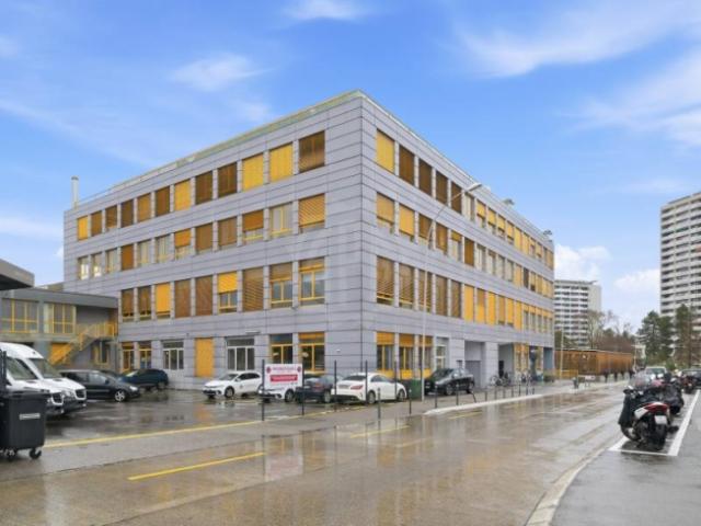 Wohnung mieten in Carouge (GE)