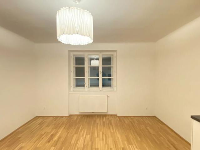 Apartment mieten in Stein an der Donau, Krems an der Donau