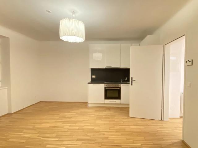 Apartment mieten in Stein an der Donau, Krems an der Donau