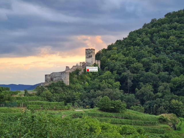 Apartment kaufen in Spitz, Niederösterreich