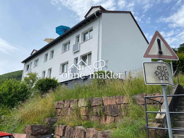 Apartment kaufen in Neckarsteinach, Hessen