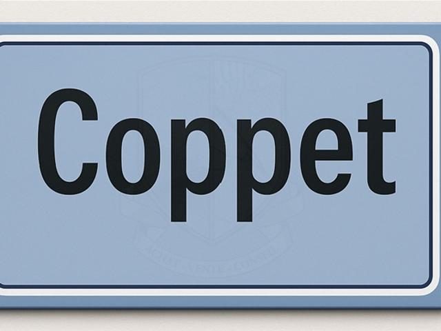 Wohnung kaufen in Coppet, Waadt