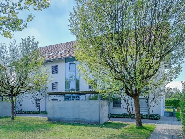 Wohnung mieten in Rheinfelden, Aargau
