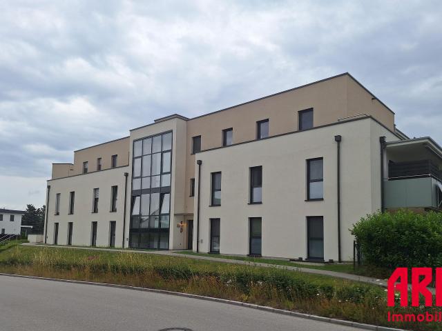 Apartment mieten in Wels, Laahen