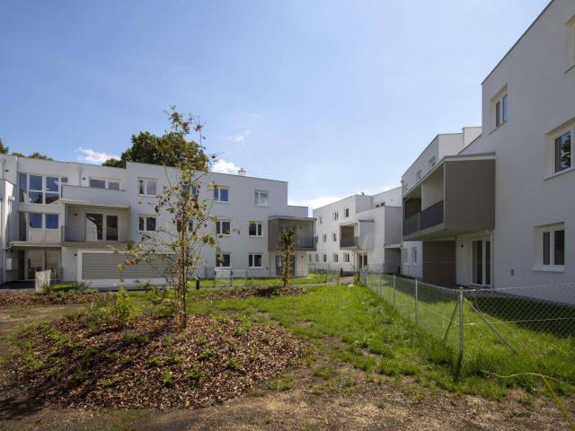 Apartment mieten in Wilhelmsburg, Niederösterreich