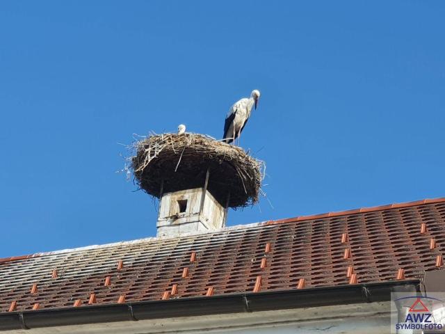 Haus kaufen in Wolfsegg am Hausruck, Oberösterreich