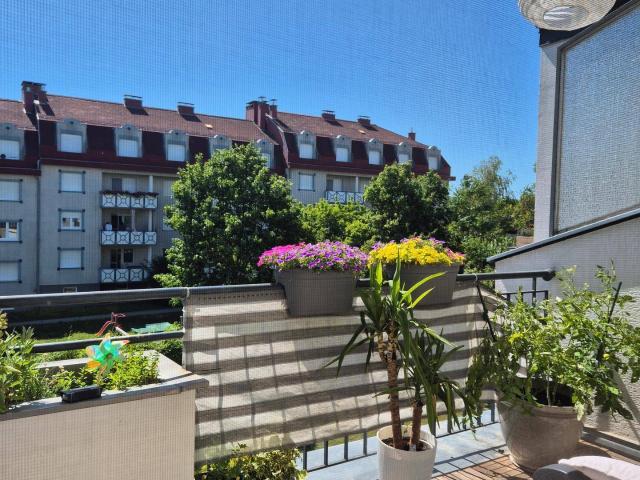 Apartment mieten in Gänserndorf, Niederösterreich