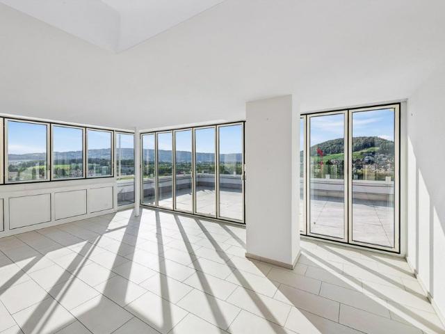 Apartment mieten in Unterengstringen, Bezirk Dietikon
