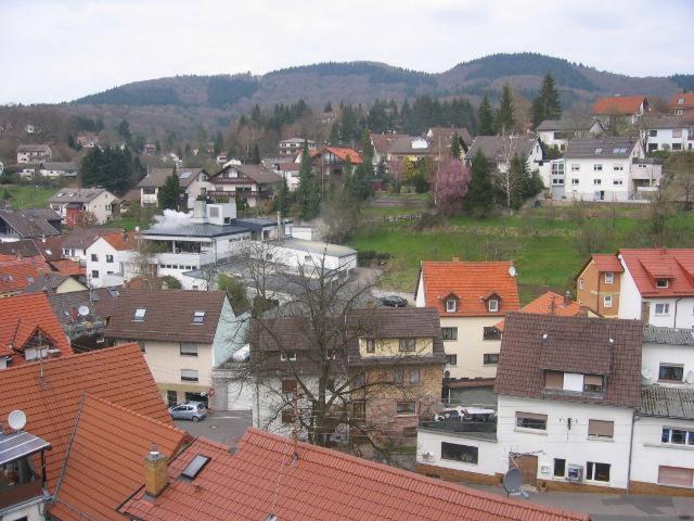 Dachgeschosswohnung mieten in Schriesheim, Baden-Württemberg
