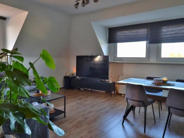 Apartment mieten in Cracau, Krefeld