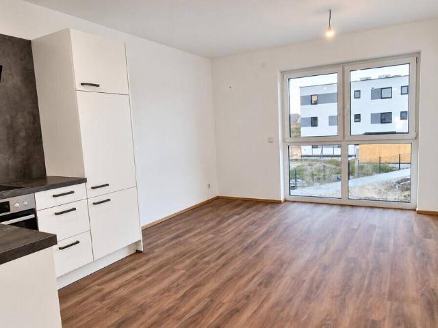 Apartment mieten in Laa an der Thaya, Bezirk Mistelbach