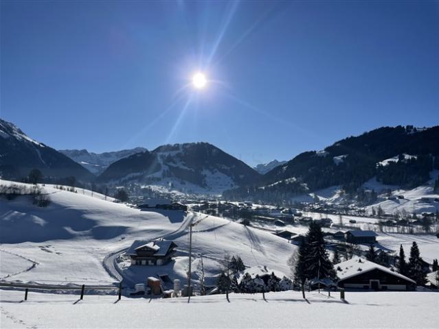 Wohnung kaufen in Saanen, Bern