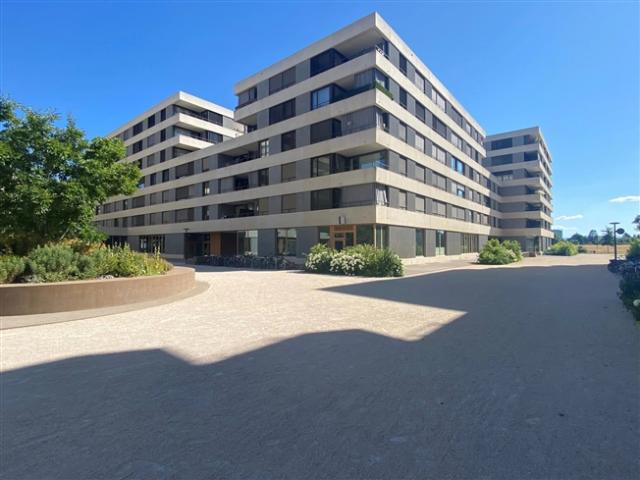 Wohnung mieten in Thônex