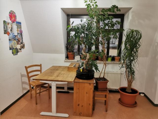 Atelier mieten in Neustadt, Dresden