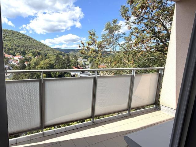 Apartment kaufen in Schöffelstadt, Mödling