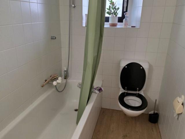 Apartment mieten in Muralto, Distretto di Locarno