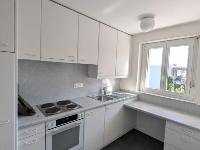Apartment mieten in Wollishofen, Zürich